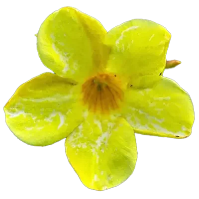Rukathana