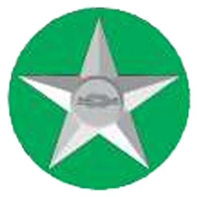 Scout Craft Badge